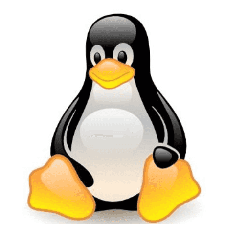 Remove subfolder with specific name in linux